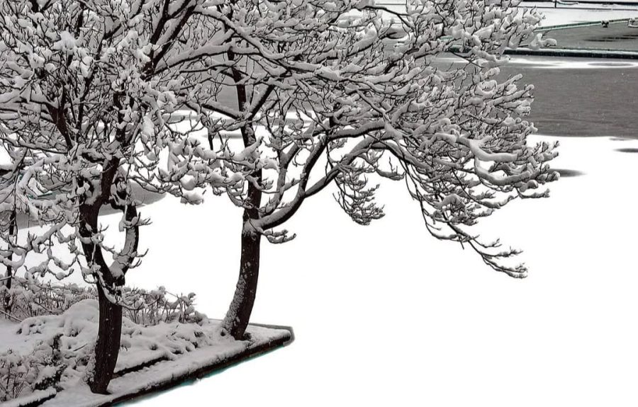 Kar mı yağmış Yüreğim mi inceden Yaslı bir yol tutmuş