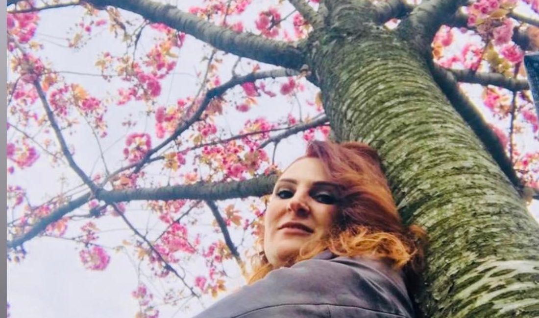 Anlatsam dil demez hezeyânımı Fotoğraf misali cansızdı gurbet Kimden tahsil