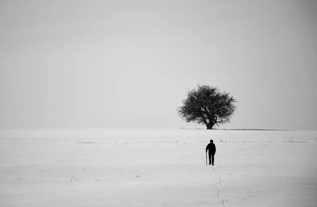 (Fotoğraf: Enes Yasin Bay) Bir babaydım dağ gibi Derin denizler