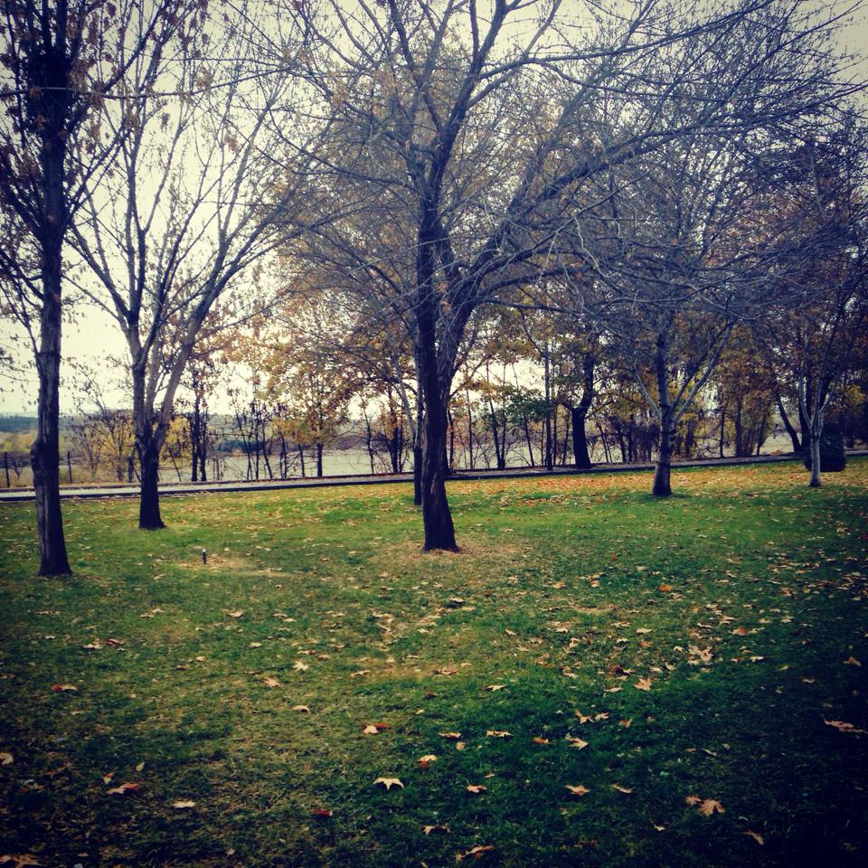 Ertuğrul Başer şiiri