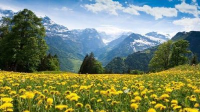 Bugün 21 Mart, yani baharın başlangıcını müjdeleyen nevruz günü. Hem