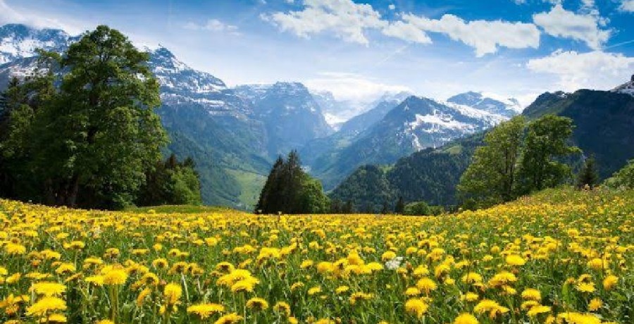 Bugün 21 Mart, yani baharın başlangıcını müjdeleyen nevruz günü. Hem