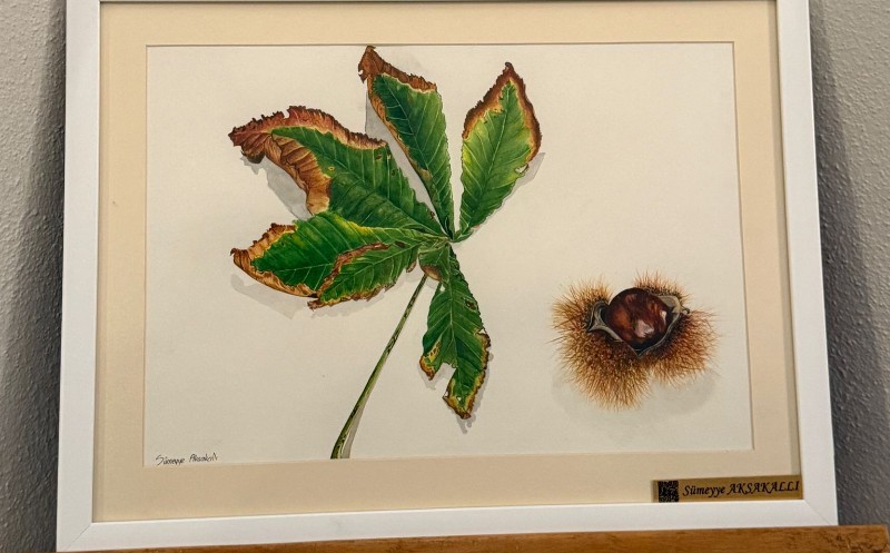 Açılışı 18 Nisan Cumartesi günü yapılan Bitki Çizimleri Sergisi, Bursa