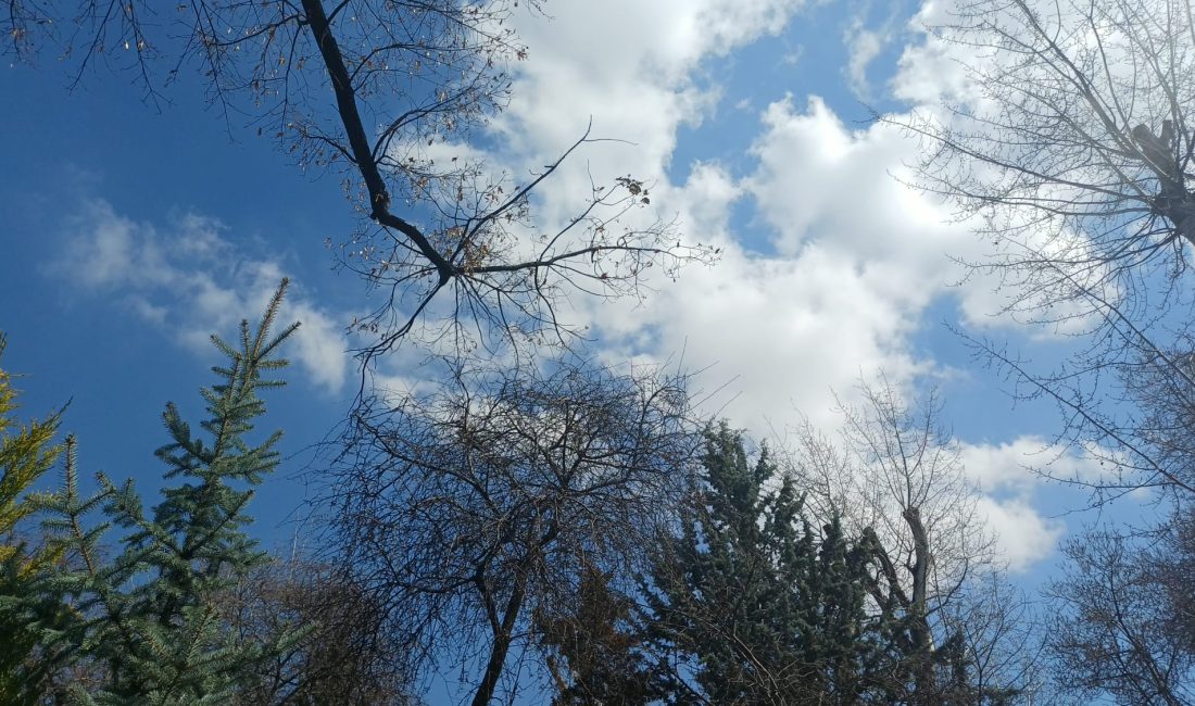 Mustafa Süs yazdı: Yarının ne getireceği bilinmez. Bugün can ciğer