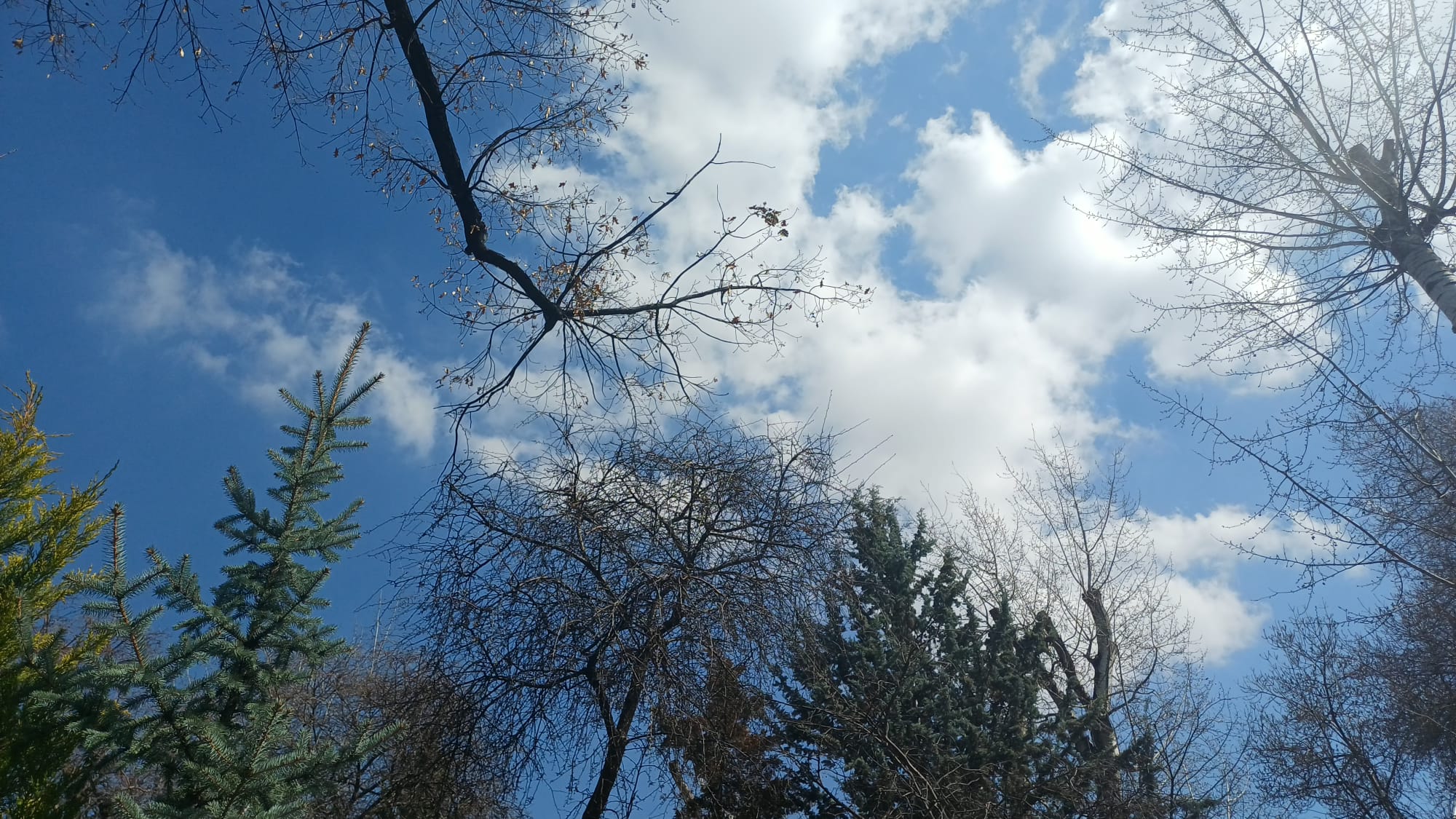 Mustafa Süs yazdı: Yarının ne getireceği bilinmez. Bugün can ciğer